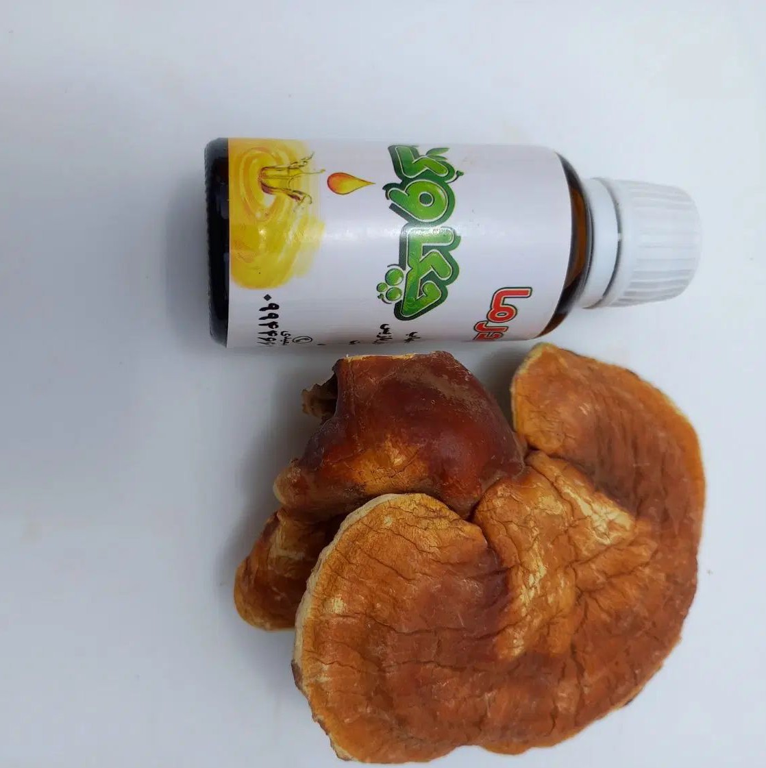 روغن قارچ گانودرما