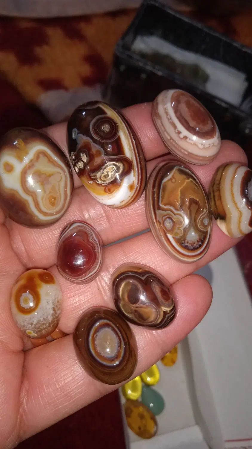 چشم مار چشم حسرت