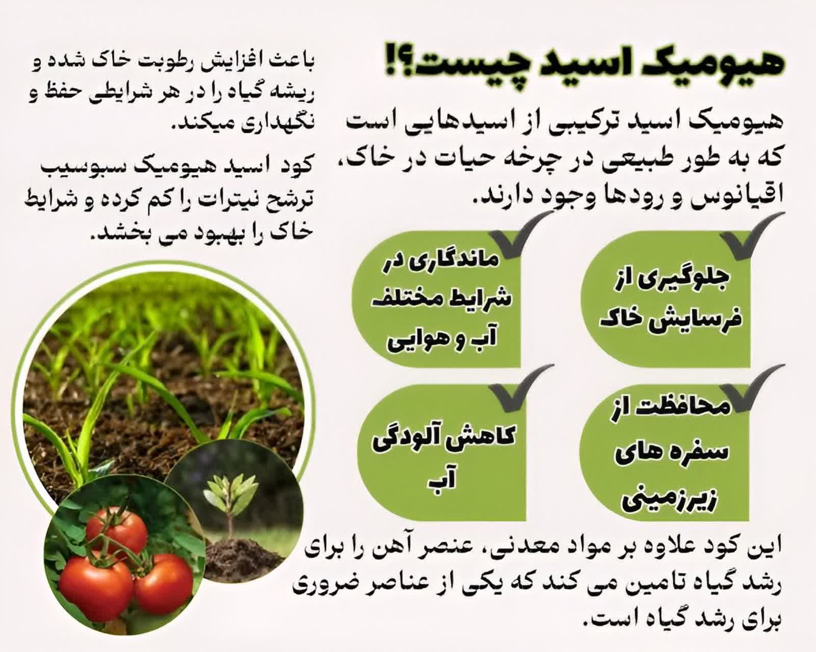 کود مایع هیومیک اسید