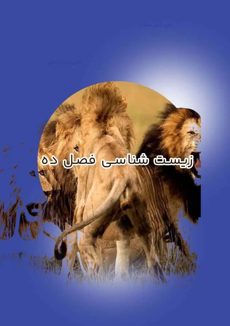 طراحی انواع پوستر، کارت ویزیت، بنر و تبلیغات محصول