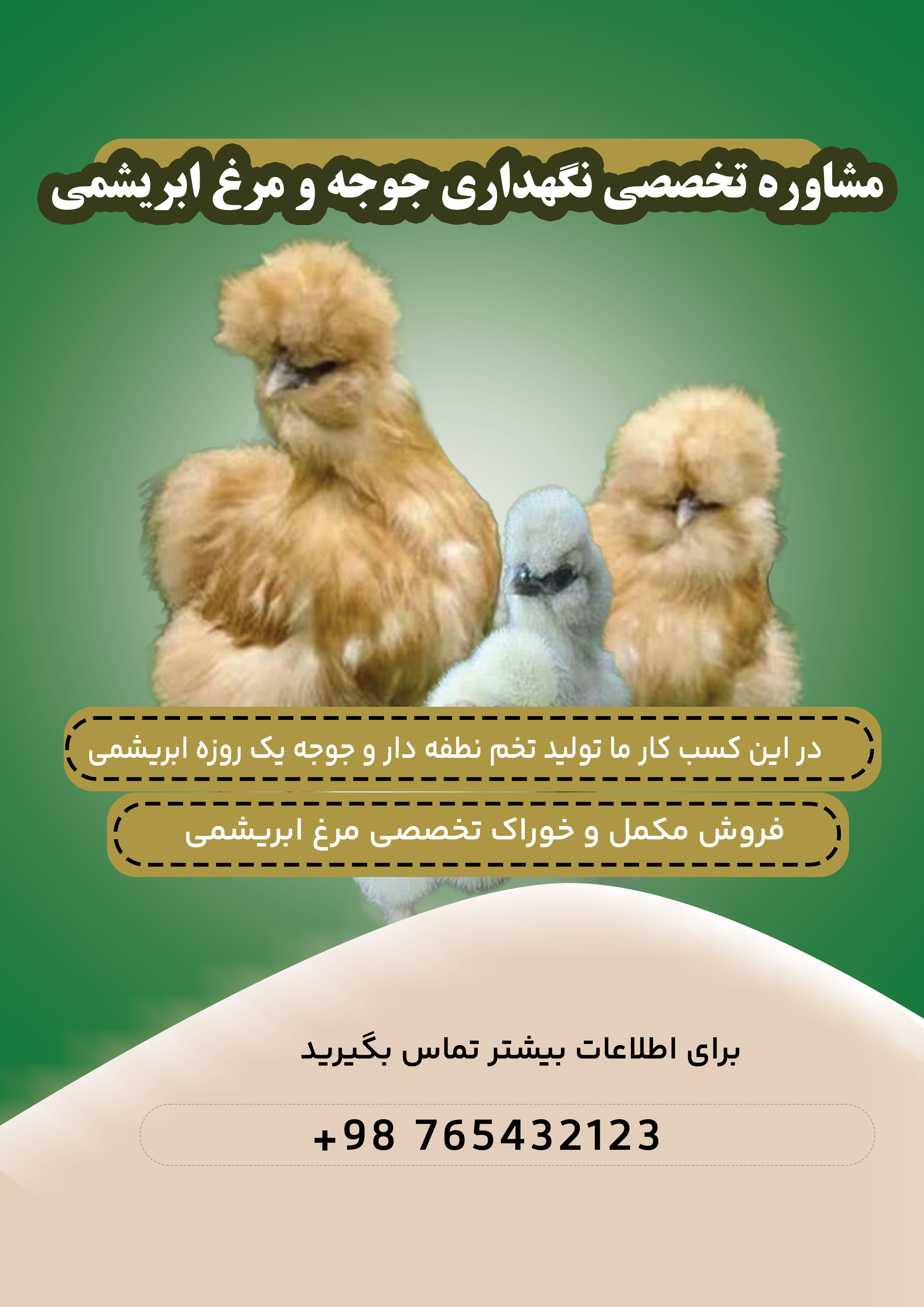 نمونه طرح پوستر مرغ ابریشم