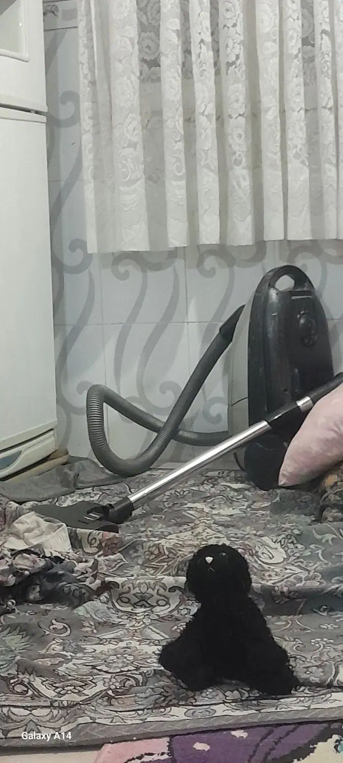 جارو برقی پاناسونیک اصل کره