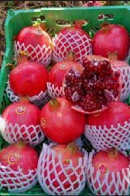خوردنی آشامیدنی