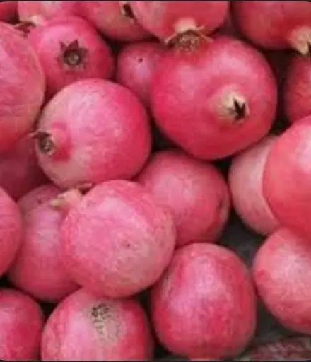 فروش انار درجه یک