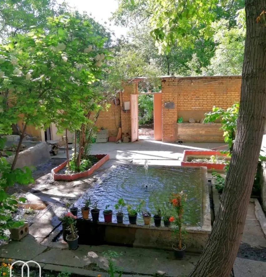 کارشناس امورملکی علی نیا