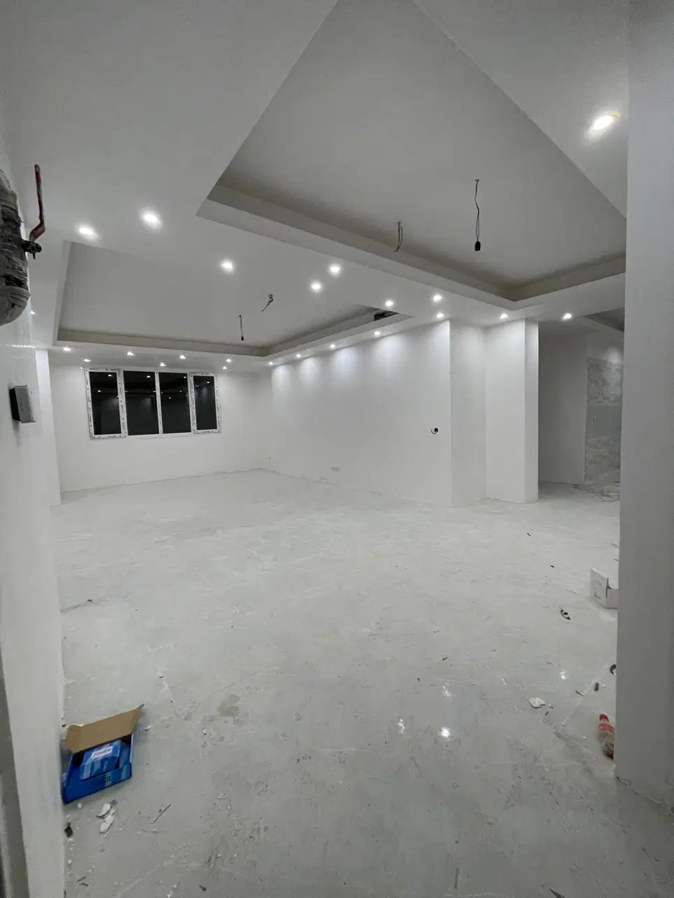 کارشناس امورملکی علی نیا