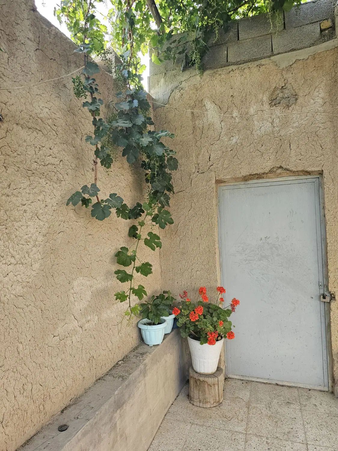 مشاور املاک درچه هوم