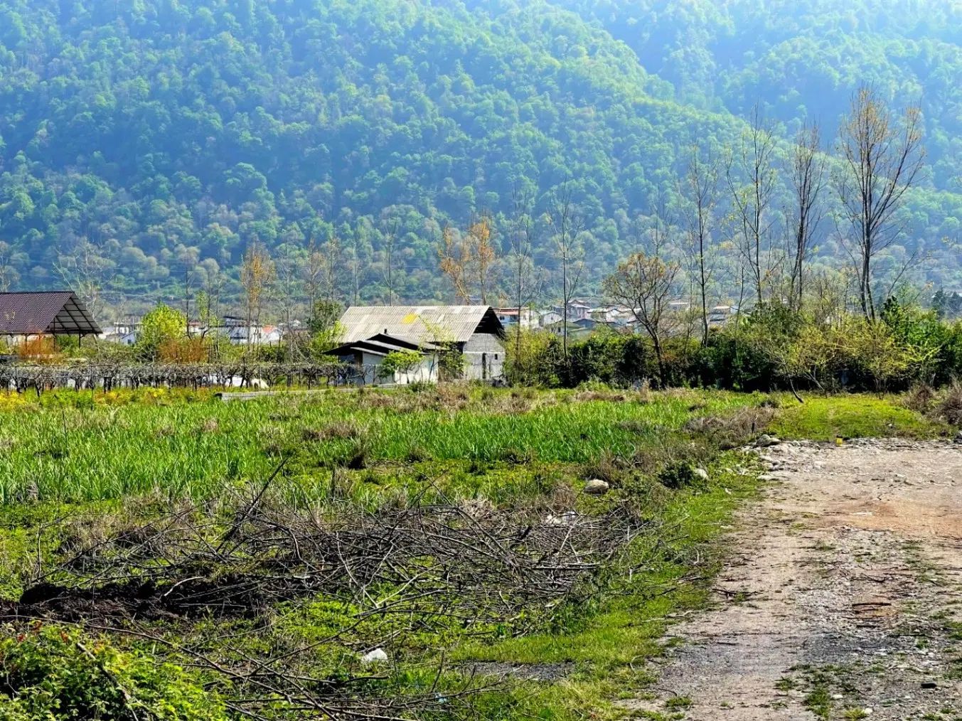 گروه مشاوران ملکی تک خونه