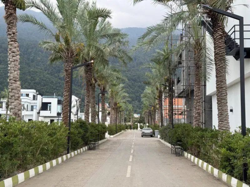285 متر زمین شهرکی با سند و ویوکامل جنگل *ملکار در نوشهر