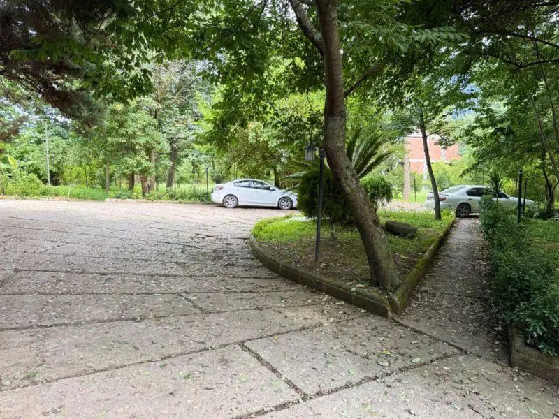 مشاور ملکی