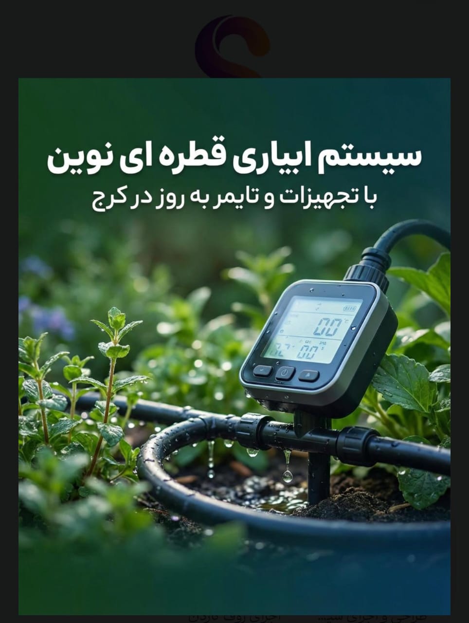 اجرای محوطه سازی و آبیاری قطره ای