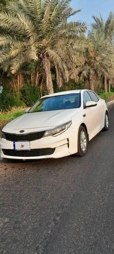 اجاره اپتیما