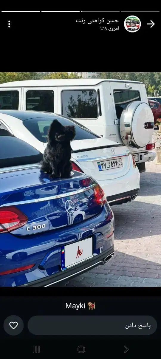اجاره بنز c200