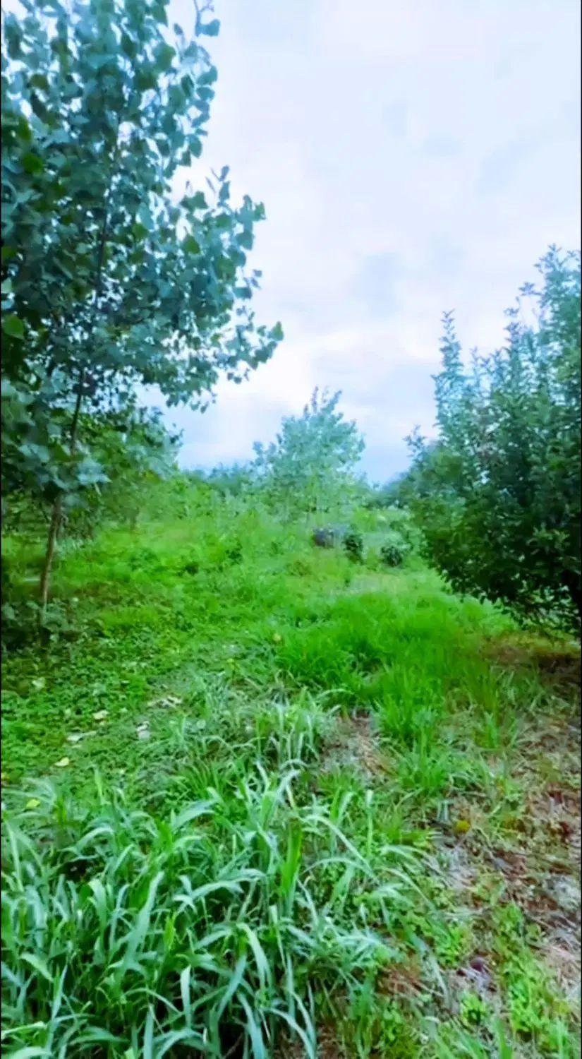 آژانس املاک مهدی