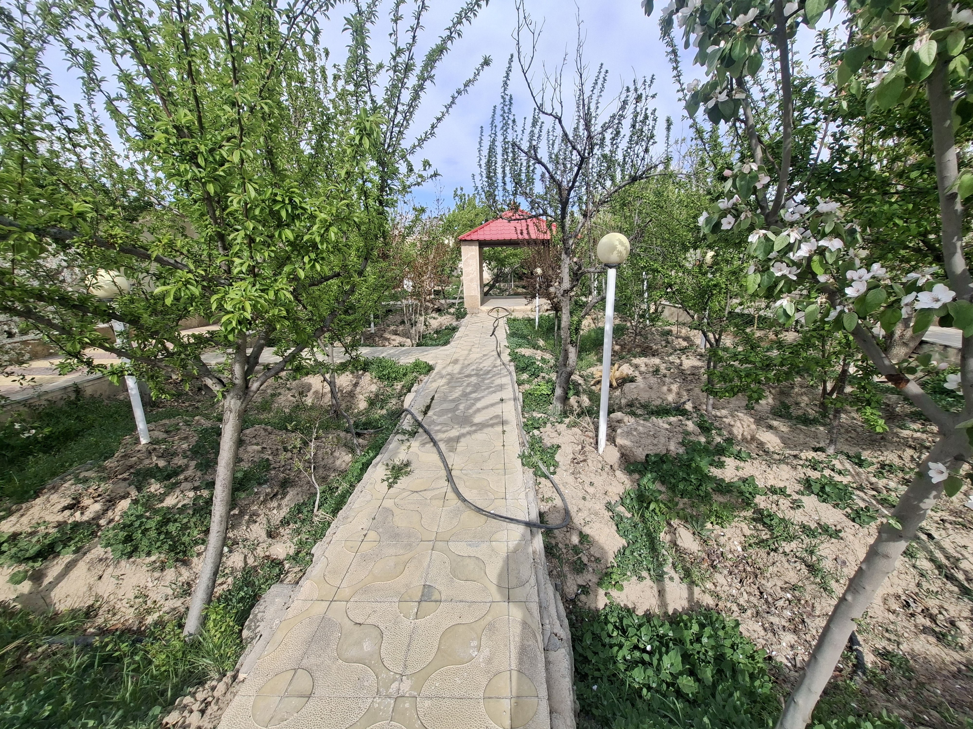 باغ چهاردیوار مناسب برای ساخت ویلا در شاهرخ