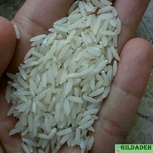 برنج هاشمی درجه یک آستانه اشرفیه