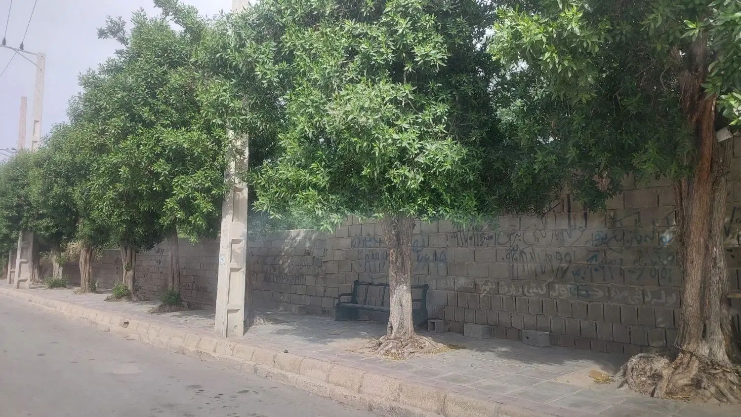 زمین تجاری مسکونی 700 متری دوکله در بوشهر