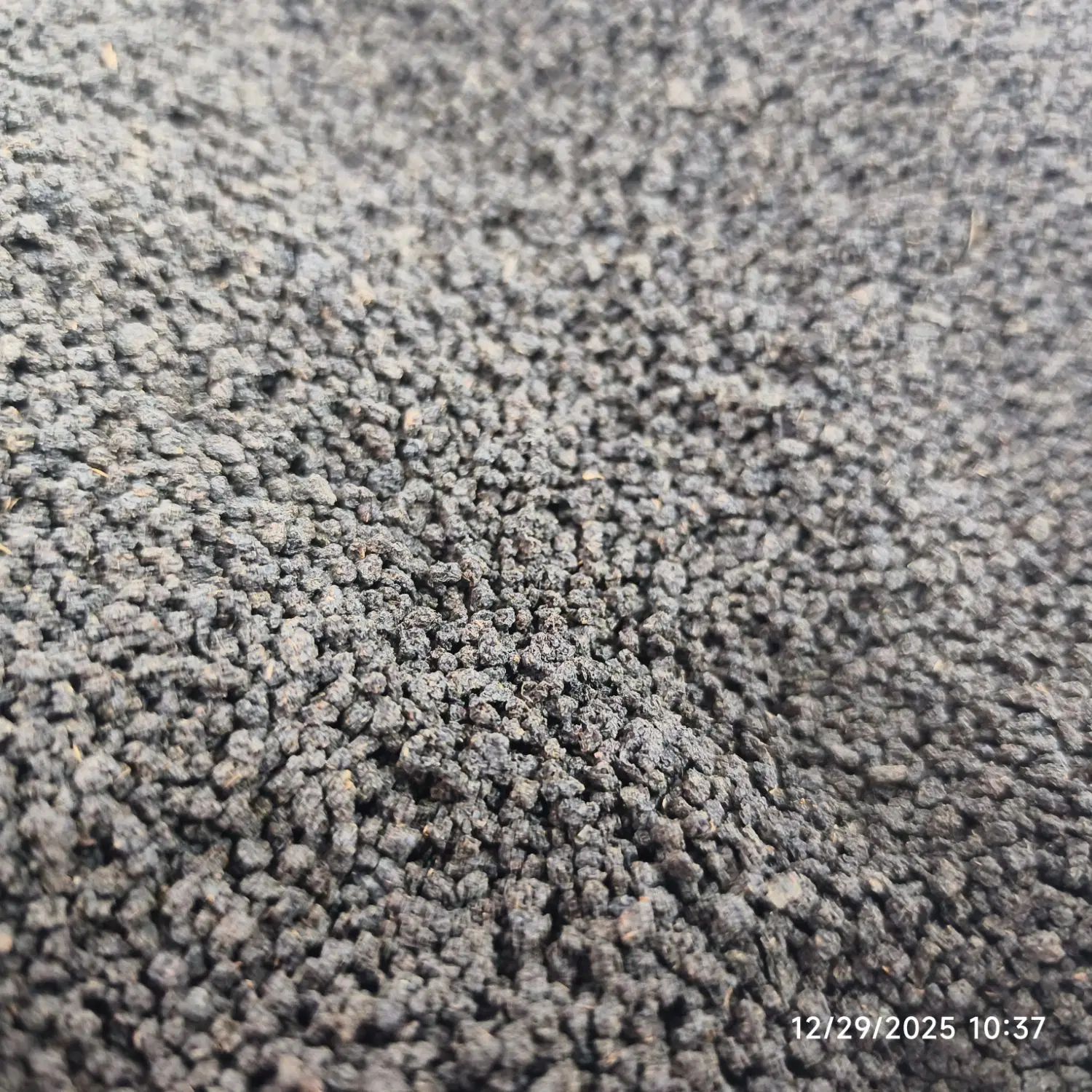 چای خارجی کله مورچه کنیا