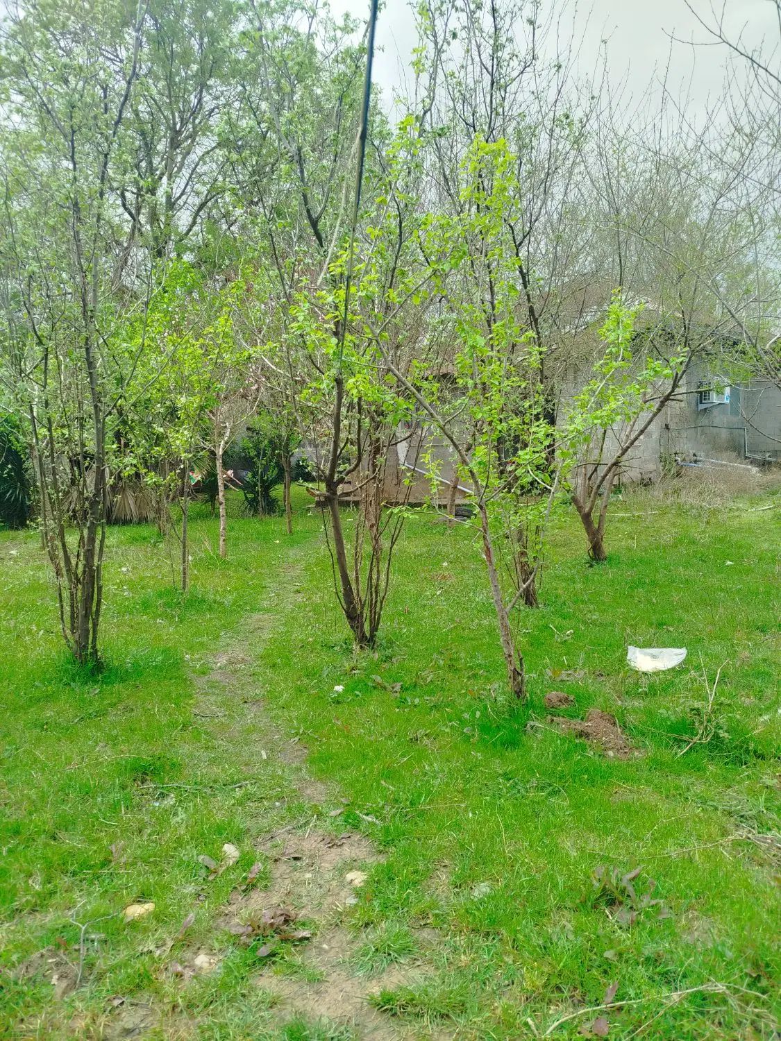 املاک کلبه شمال