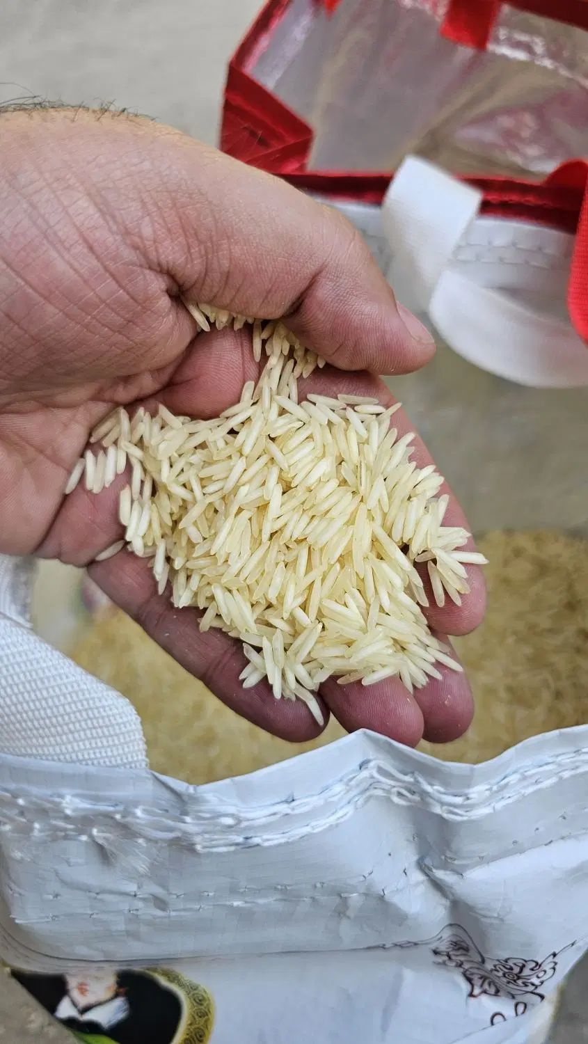 برنج هندی استیم ویلیام در تهران