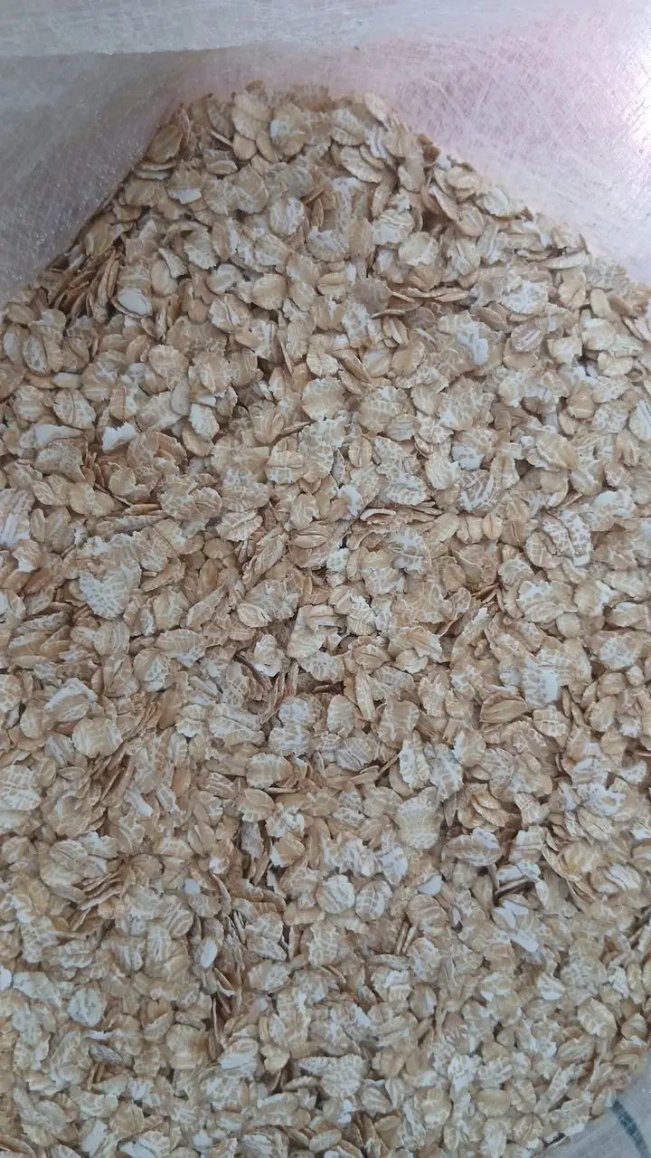 جوپرک  نوزده  نهصد  پنجاه و  چهار شصت و نه سی و