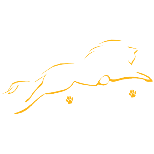 جمبر