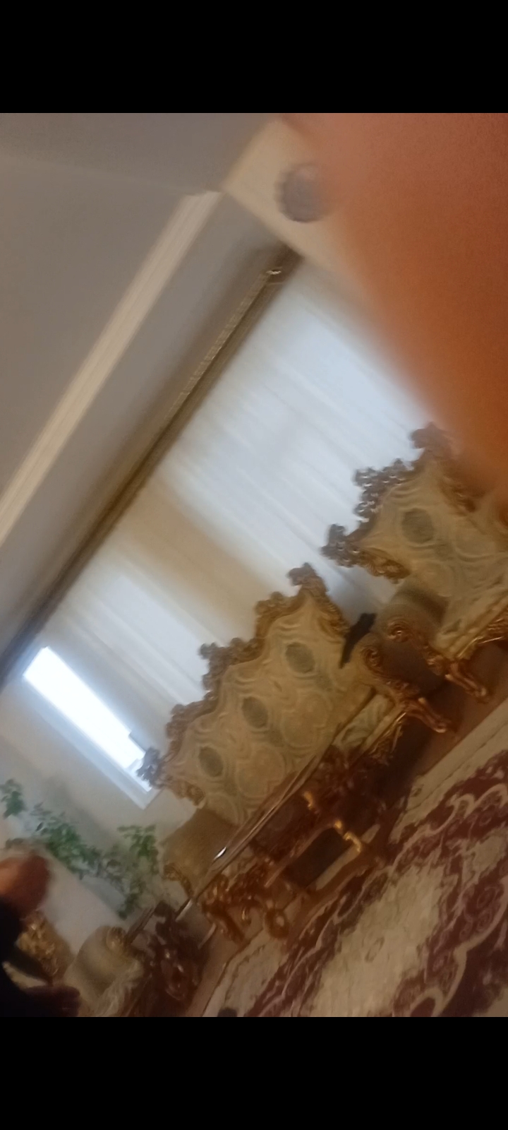 تکواحدی کارشناسان ساحلی نزدیک کاج