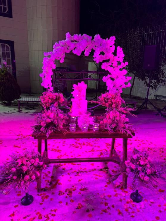 تشریفات carnival