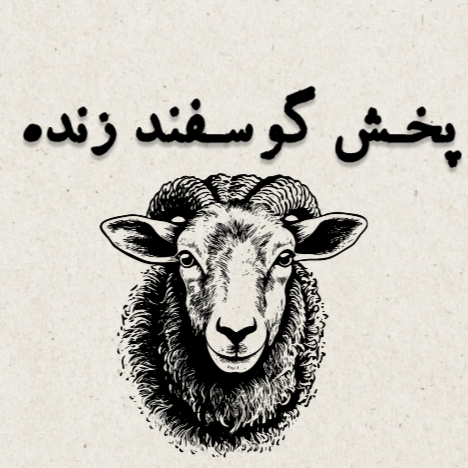 گوسفند زنده همراه با قصاب