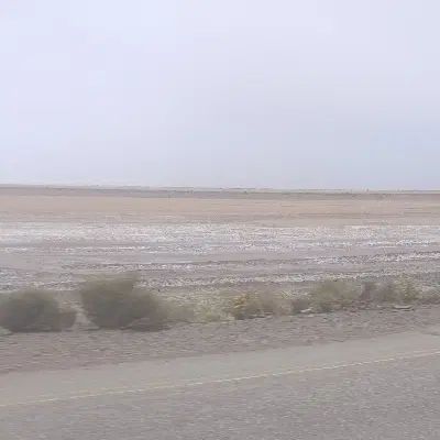 دپارتمان سالار
