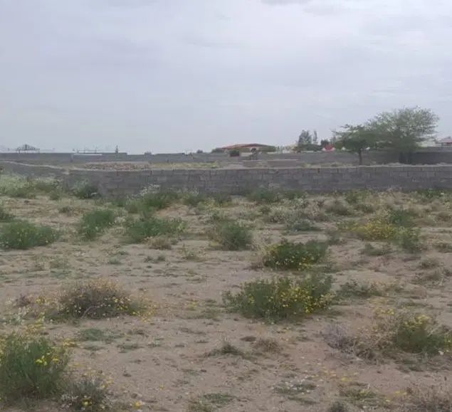 دپارتمان سالار