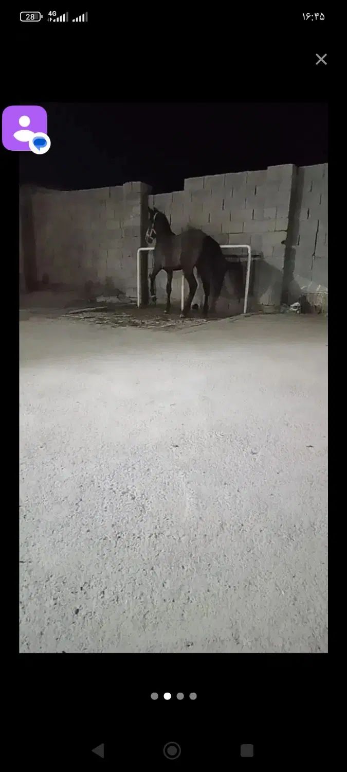 دپارتمان سالار