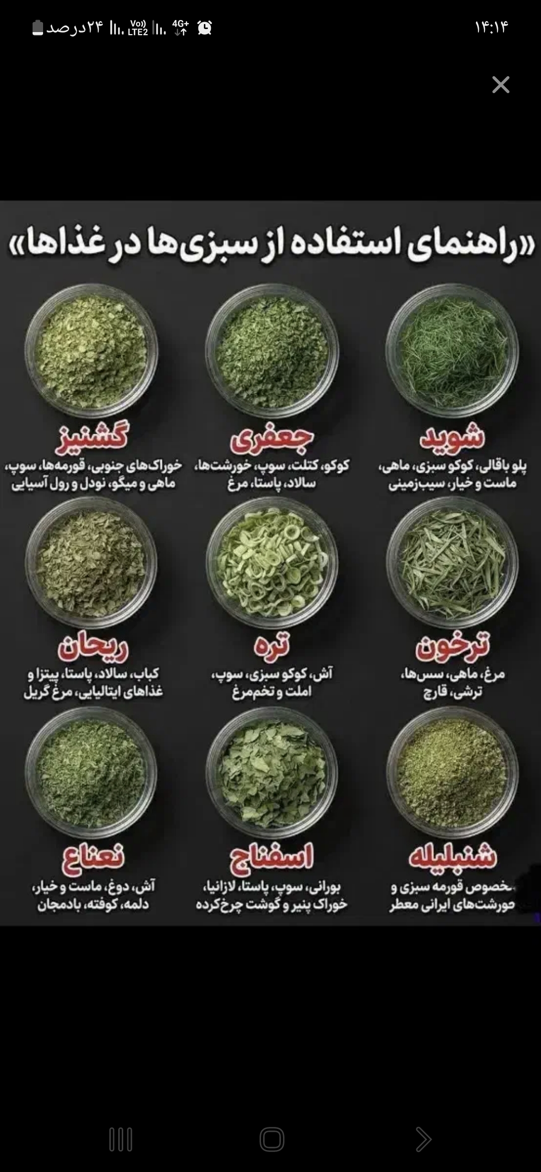 سبزیجات خشک نگین سبز صرم