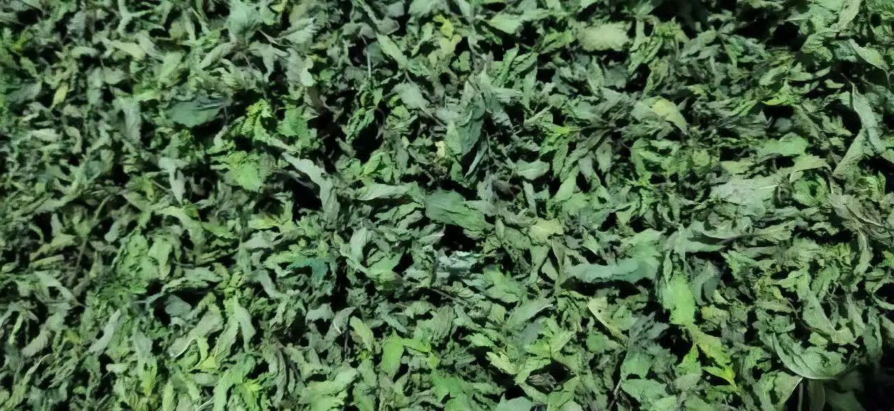 سبزی شسته و خشک بستهبندی
