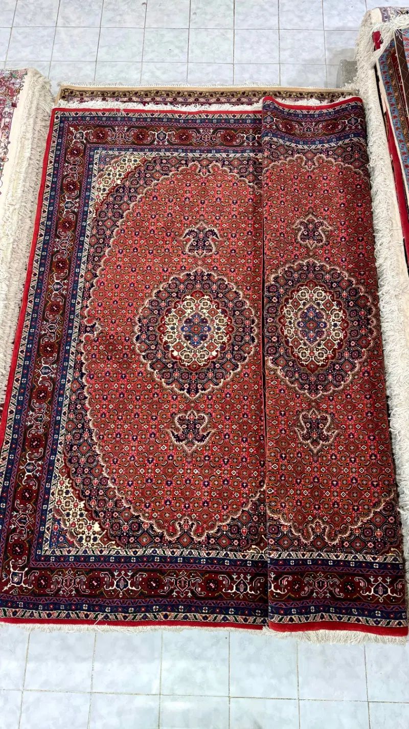 جفت ۶ماهی رنگ خاص قسطی در تبریز