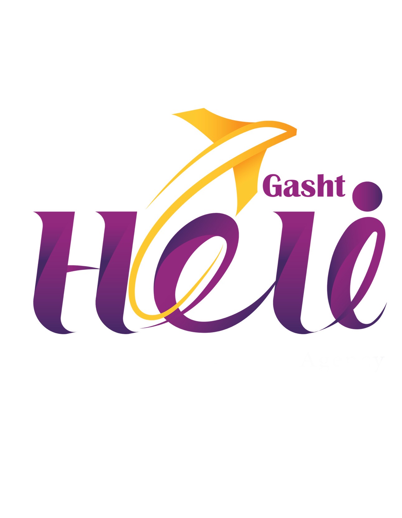 هلی گشت