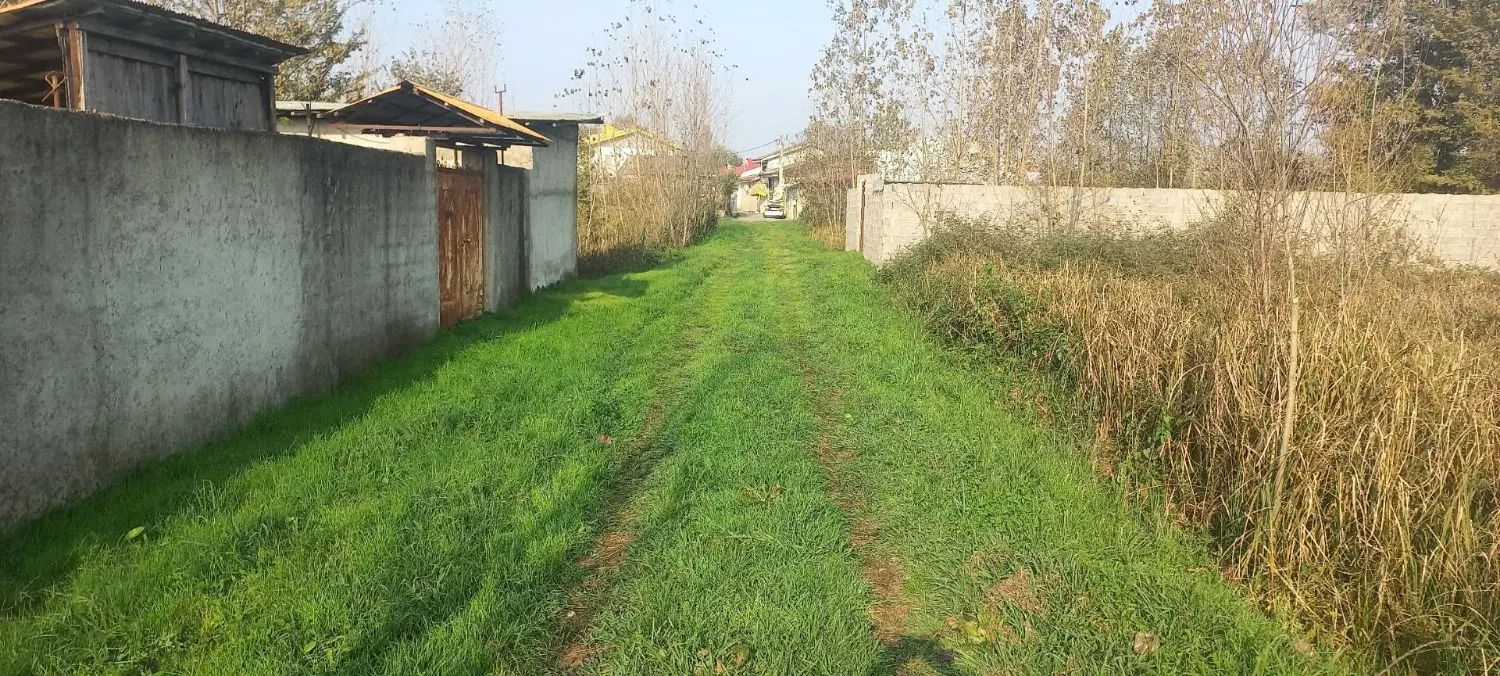 فروش زمین باغی در رشت در بندر عباس