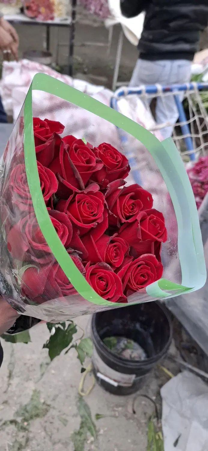 فروش عمده گل شاخه بریده بهترین قیمت