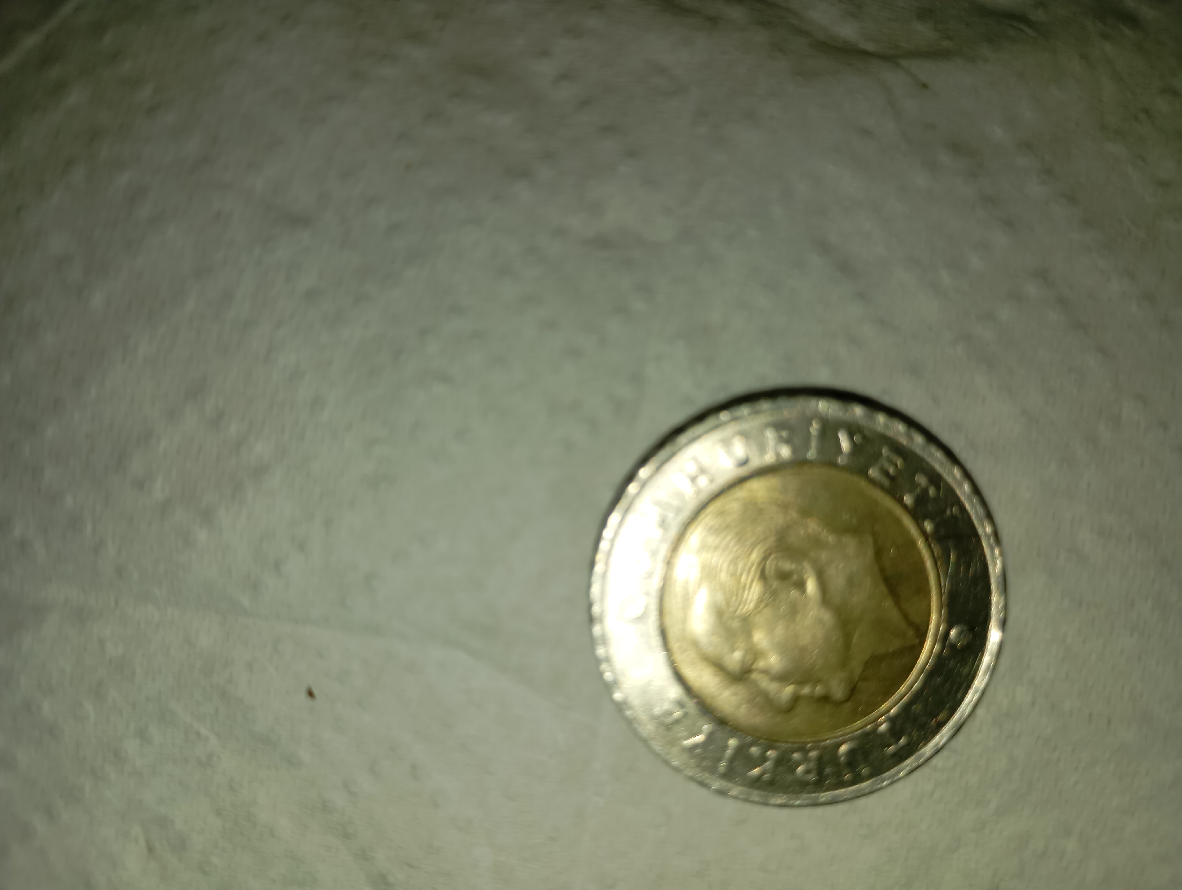 کلکسیونی