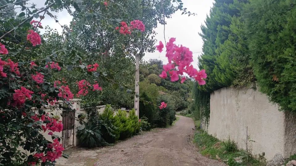 زمین چالوس تهاتر با خودرو
