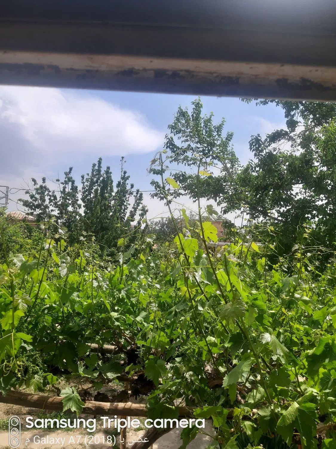 مشاوره املاک میری ریکان