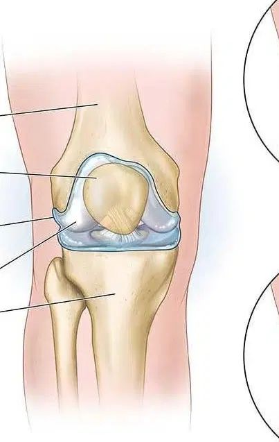 بهبودی رگگیری و انجام حجامت و فصد ط سنتی و هندی