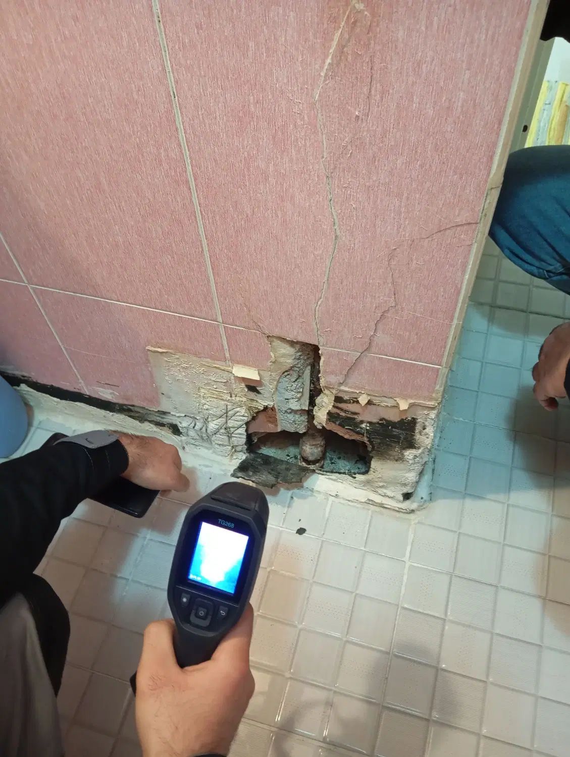 نشت یابی تصویری فیلر
