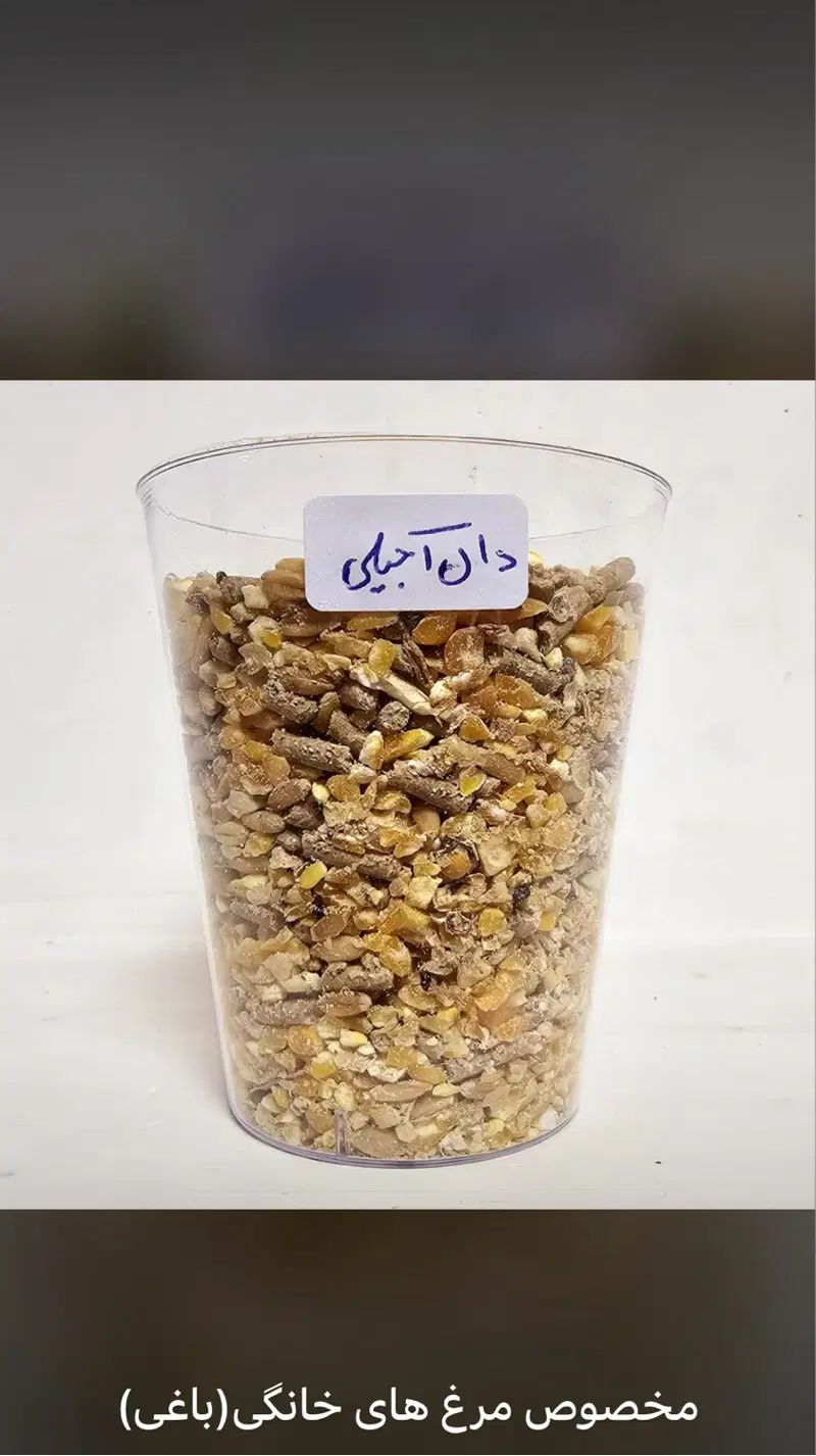 دان پلت مرغ تخمگذار و گوشتی گلدیس طیور