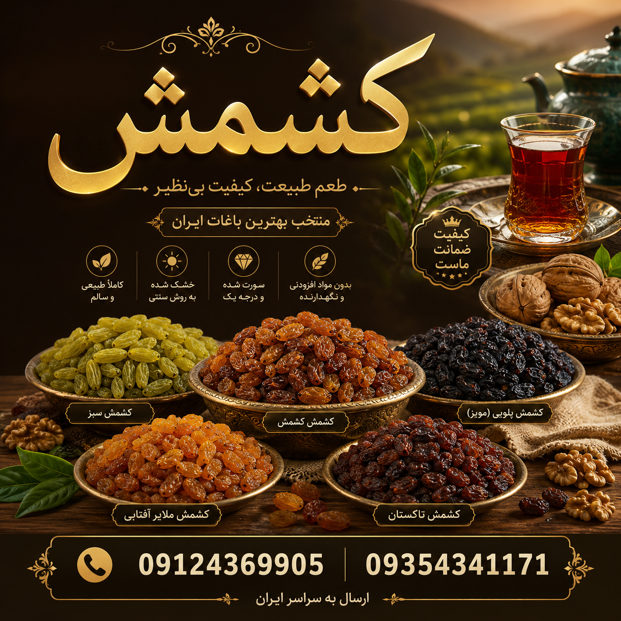 پخش انواع کشمش با نازلترین قیمت