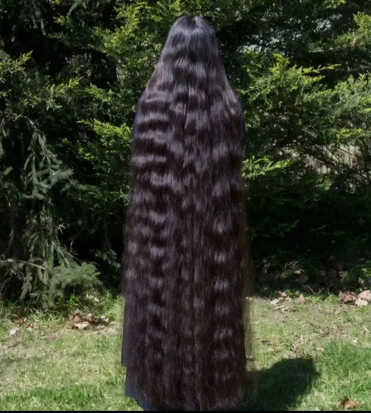 مو خریدار مو رنگی و خام