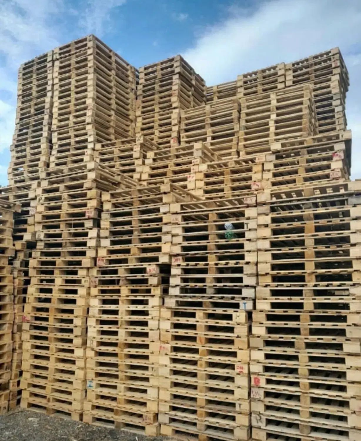 خرید و فروش پالت چوبی و پلاستیکی(ارسال رایگان)