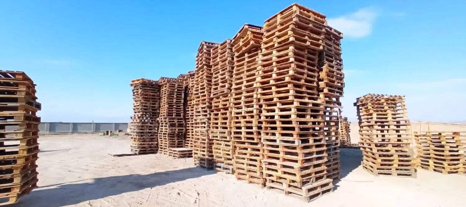 پالت چوبی و پلاستیکی و صندوق