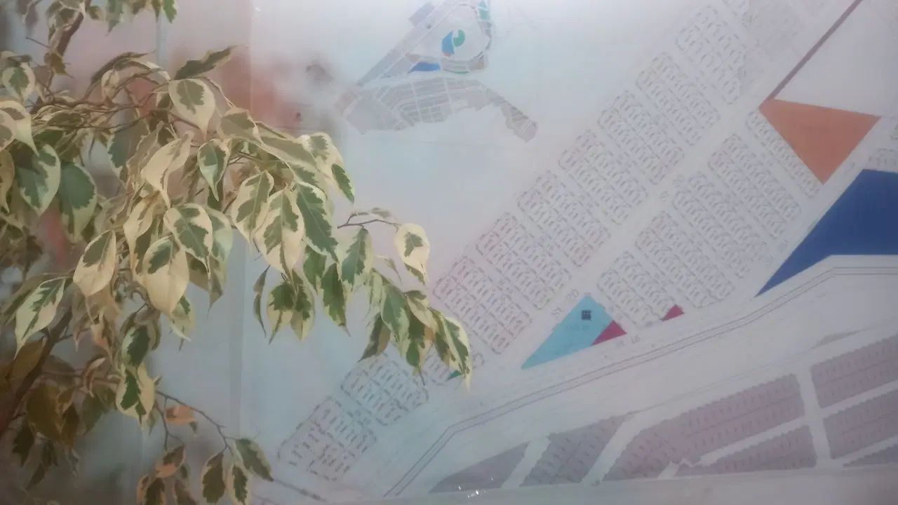 مشاور املاک