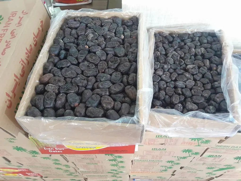 خرما ی خوب از کسی بخر که خرماشناس باشه 51 نوع خرما